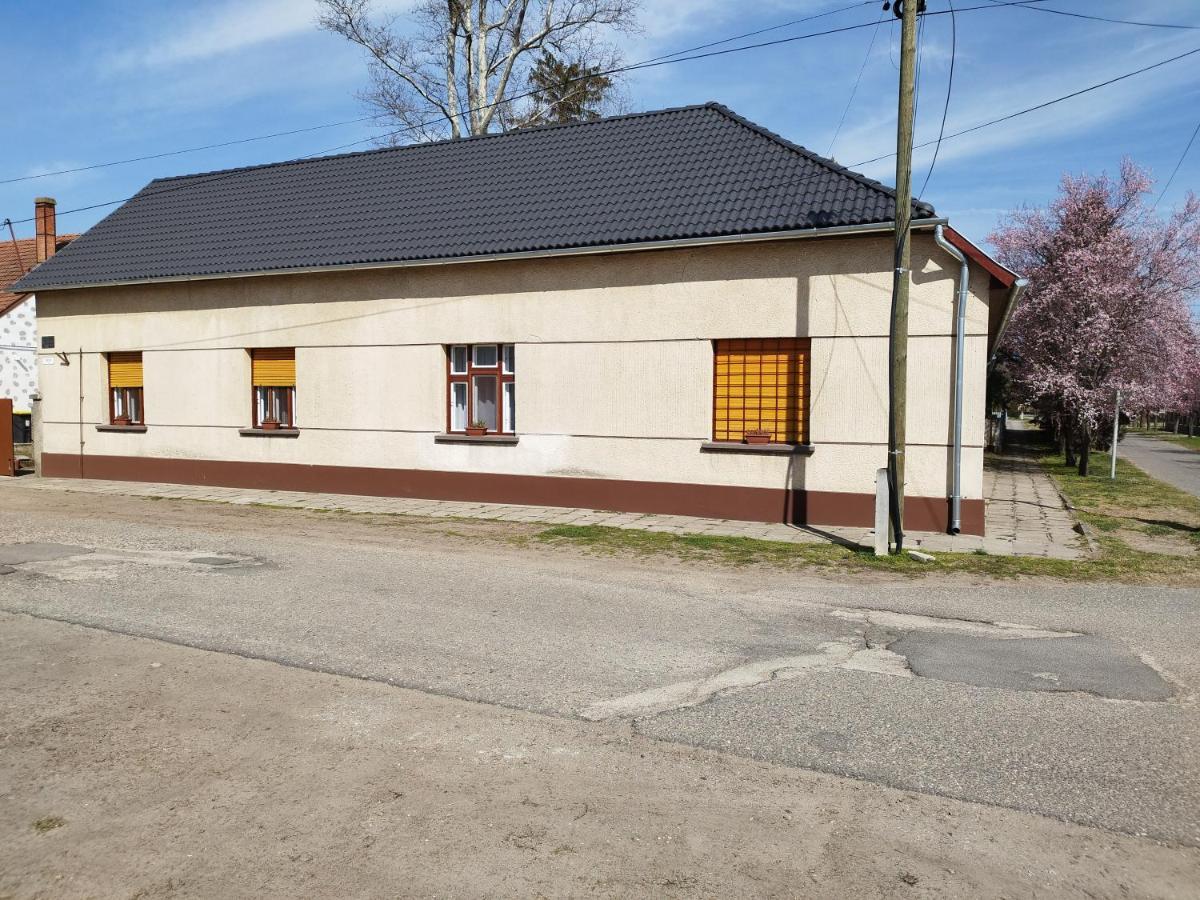 Tazlar Tartos Szegfu Vendeghaz, Maganszallas المظهر الخارجي الصورة
